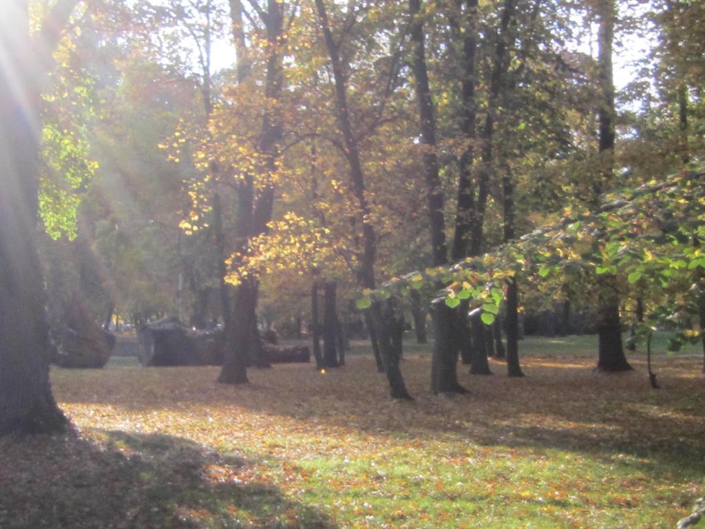 Csigahaz Panzio Hotel Gyula Ruang foto