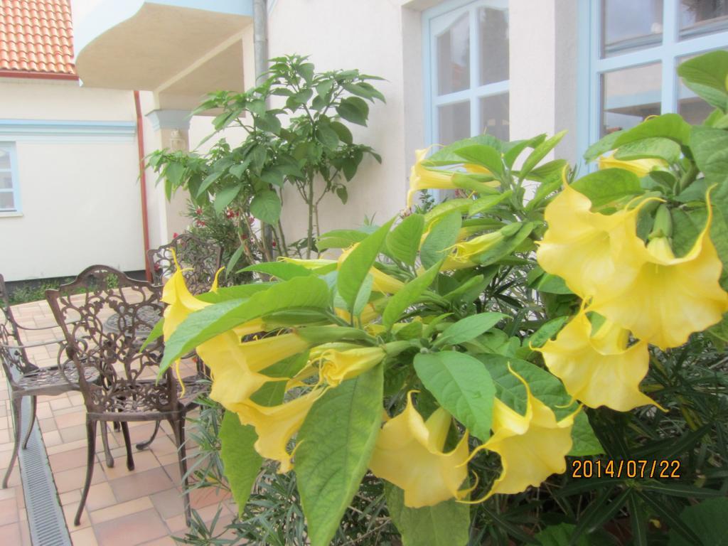 Csigahaz Panzio Hotel Gyula Ruang foto