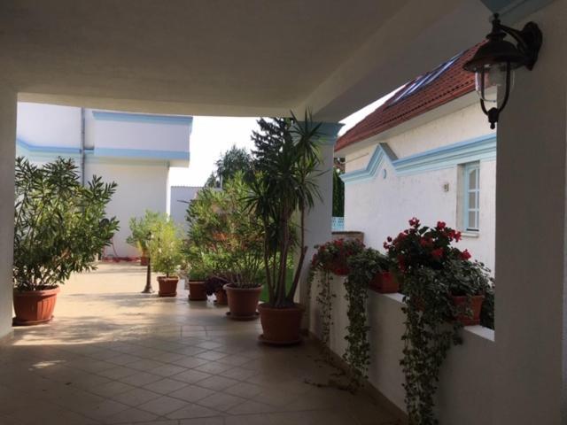 Csigahaz Panzio Hotel Gyula Bagian luar foto